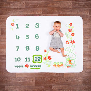 Super soft Fleece baby milestone blanket